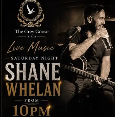 Shane Whelan The Goose